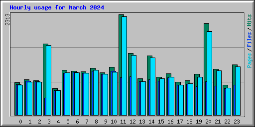 Hourly usage for March 2024