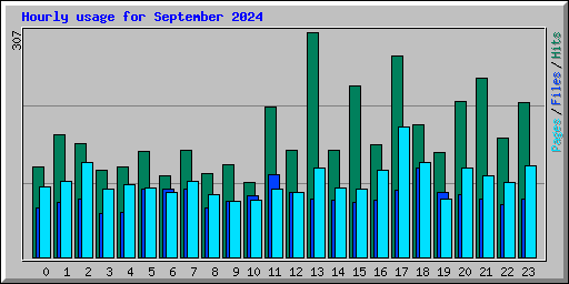 Hourly usage for September 2024