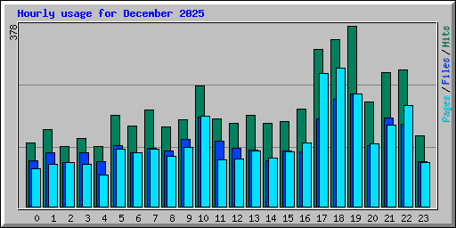 Hourly usage for December 2025