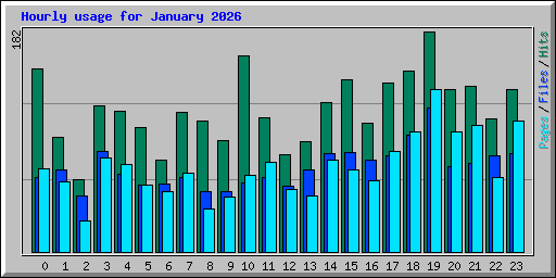 Hourly usage for January 2026