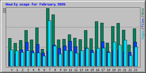 Hourly usage for February 2026